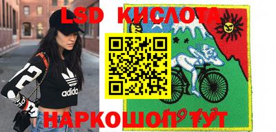 МДПВ Новозыбков