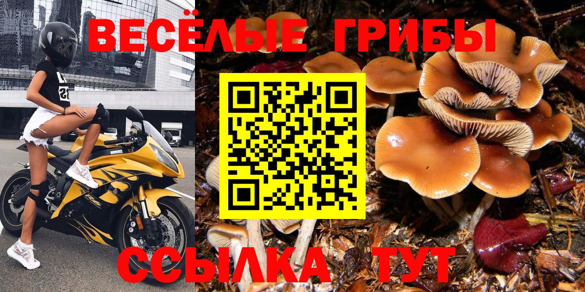 Галлюциногенные грибы мицелий Сибай